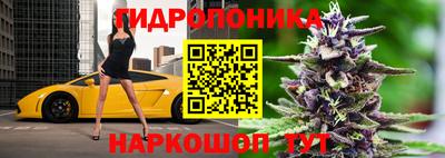 индика Конаково