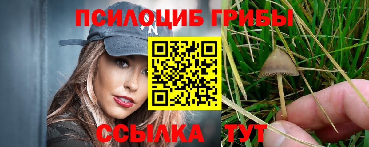 Галлюциногенные грибы мицелий  Вход с VPN  Качканар  Псилоцибиновые грибы Psilocybe 
