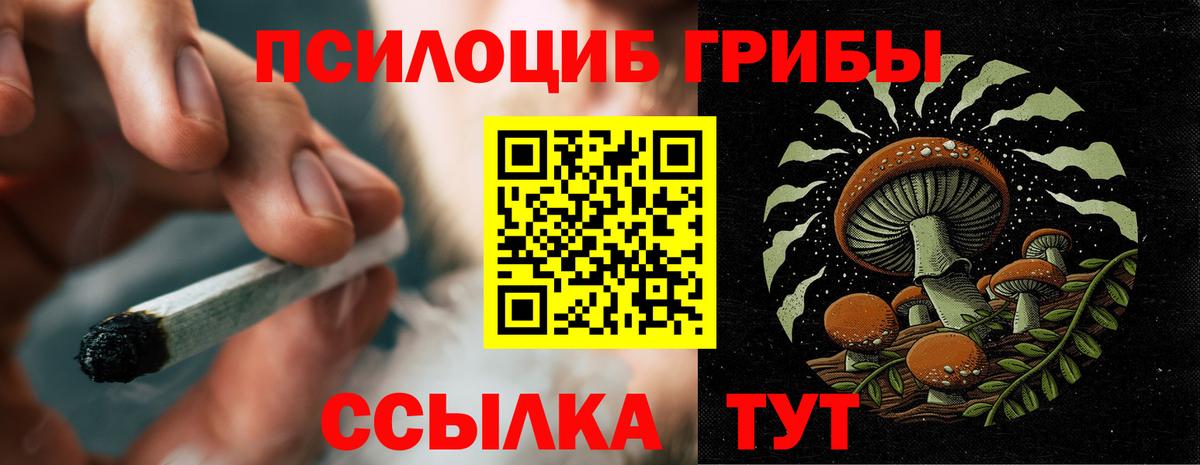 Галлюциногенные грибы Cubensis Качканар